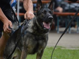 01.07.2023 offenes training 30